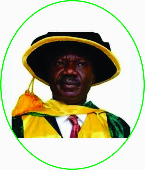 Vice Chancellor